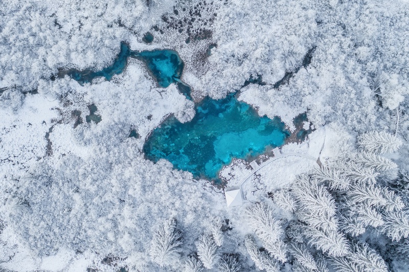 Zelenci by A