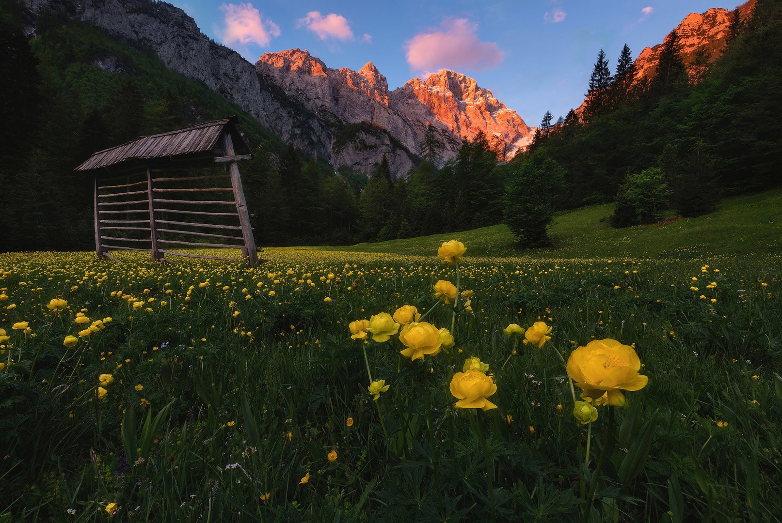Dolina Kot by A