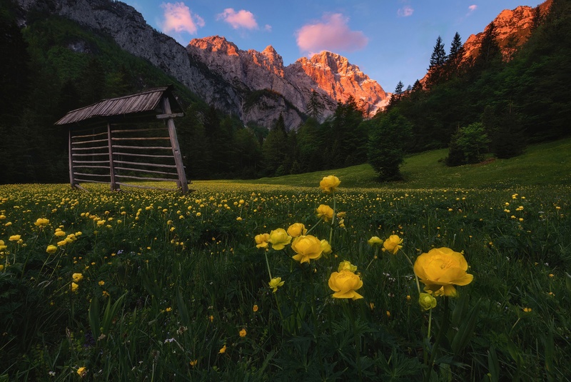 Dolina Kot by A