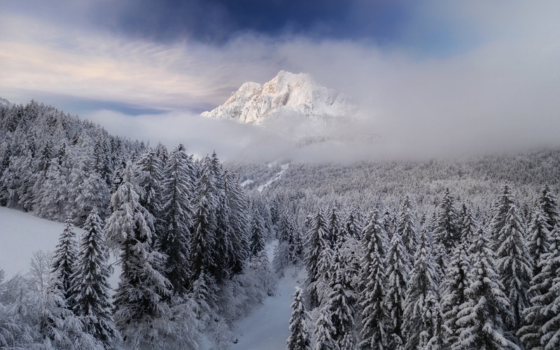 Rateška Ponca by A