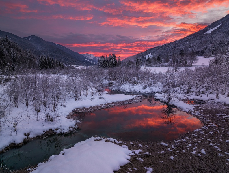 Zelenci by A