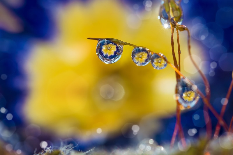 Deep Blu by .. dejana ..