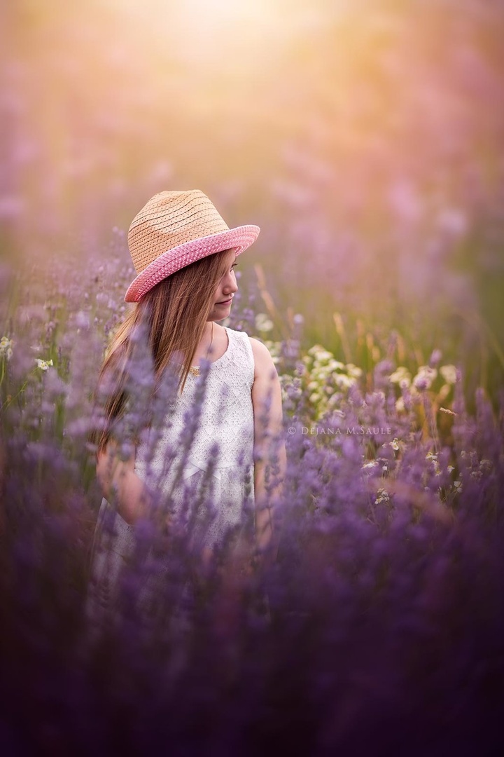 Lavender Love* by .. dejana ..