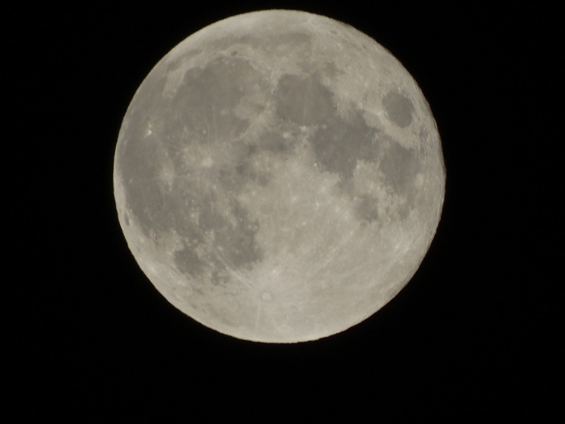 polna luna 8.10.2014 by Tim Šimunkovič