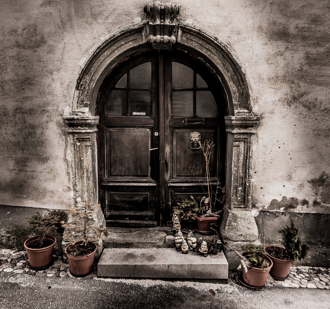 The entrance by Nejc Petrovič