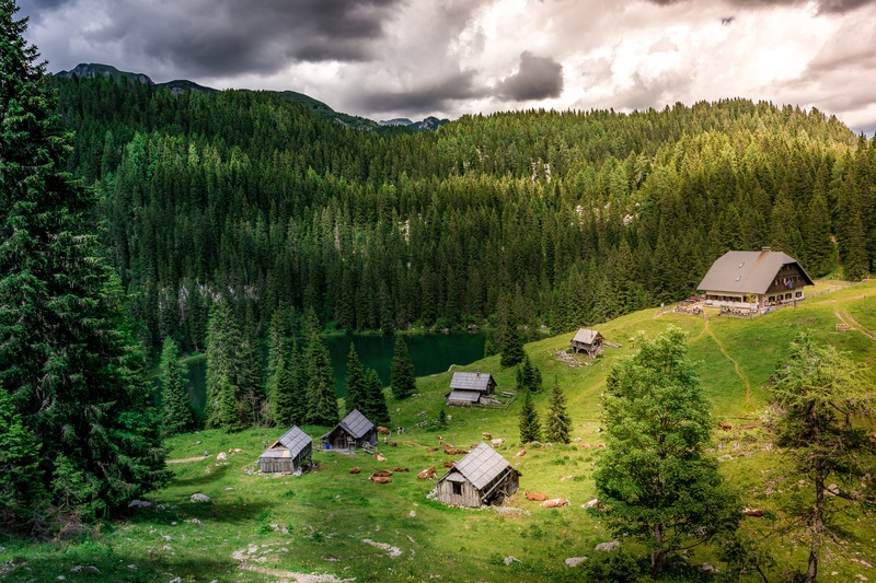 Planina pri Jezeru by Nejc Petrovič