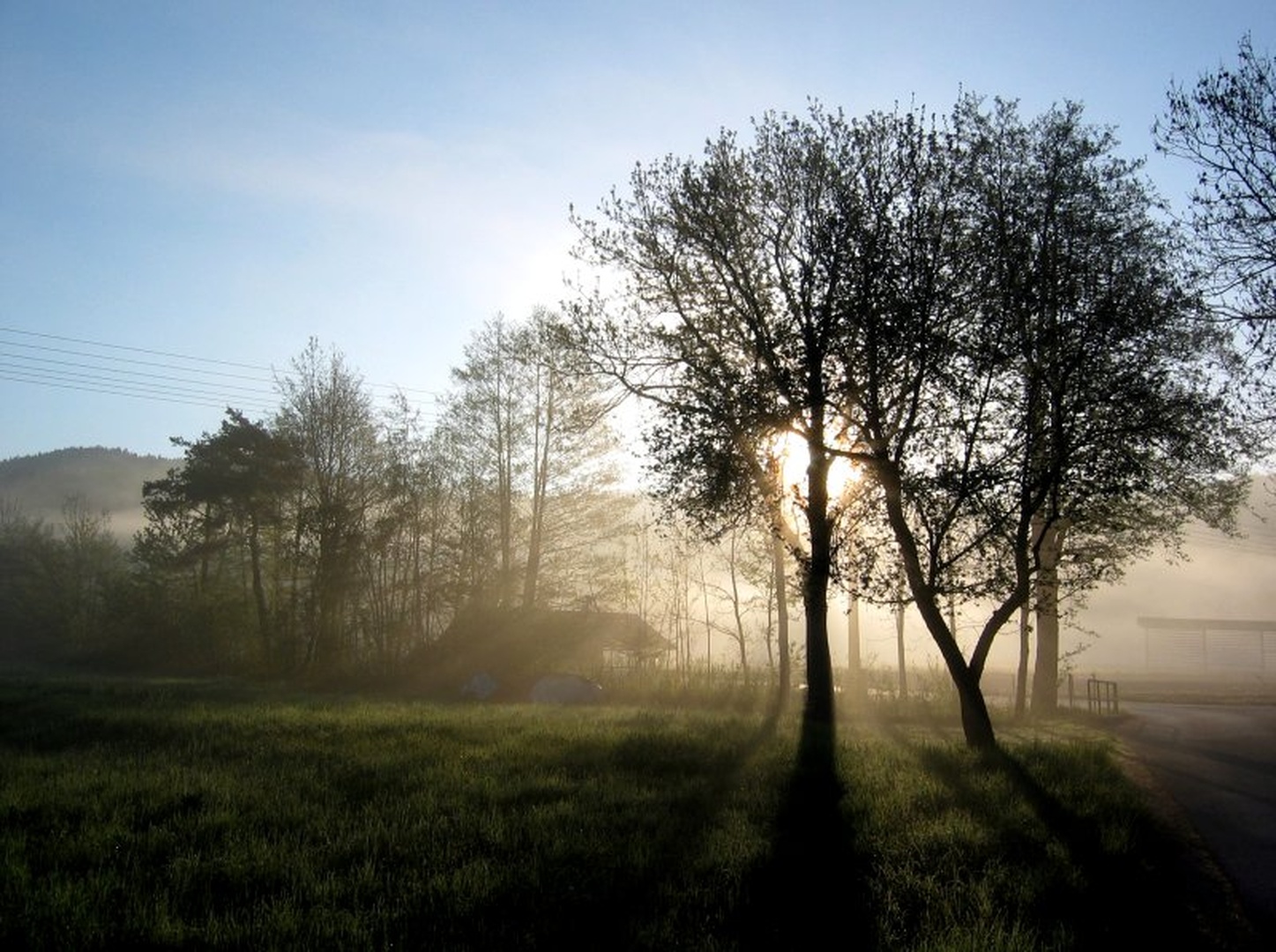 Jutro by