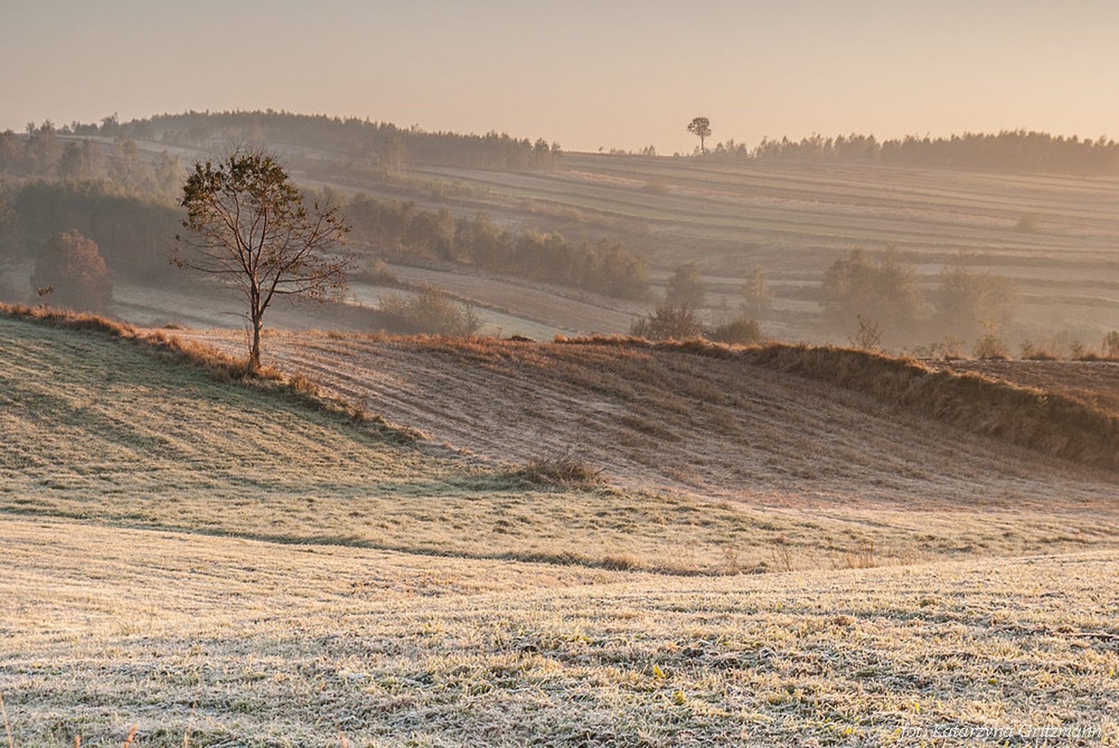 colors of the morning by Katarzyna Gritzmann