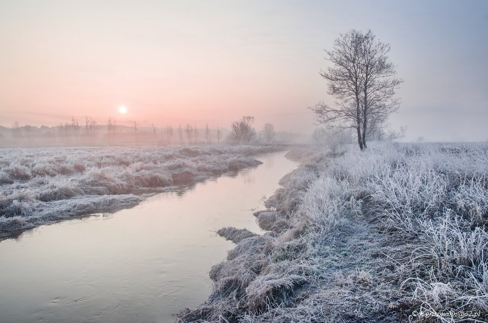 colors of the morning by Katarzyna Gritzmann