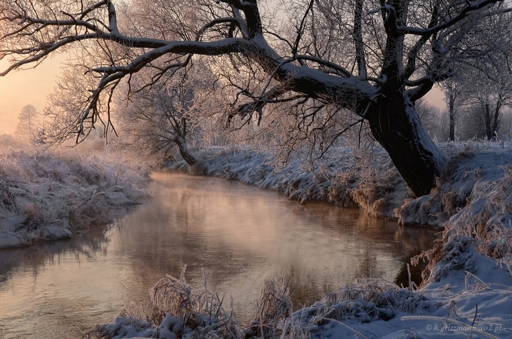 colors of the winter by Katarzyna Gritzmann