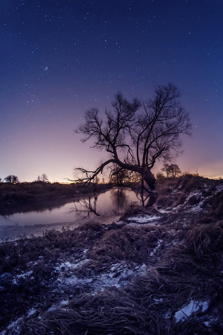colors of the night II by Katarzyna Gritzmann