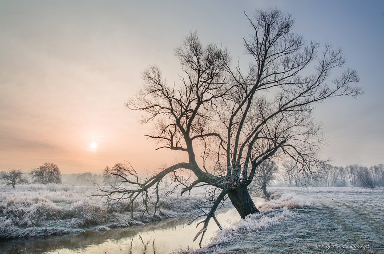 colors of the morning by Katarzyna Gritzmann