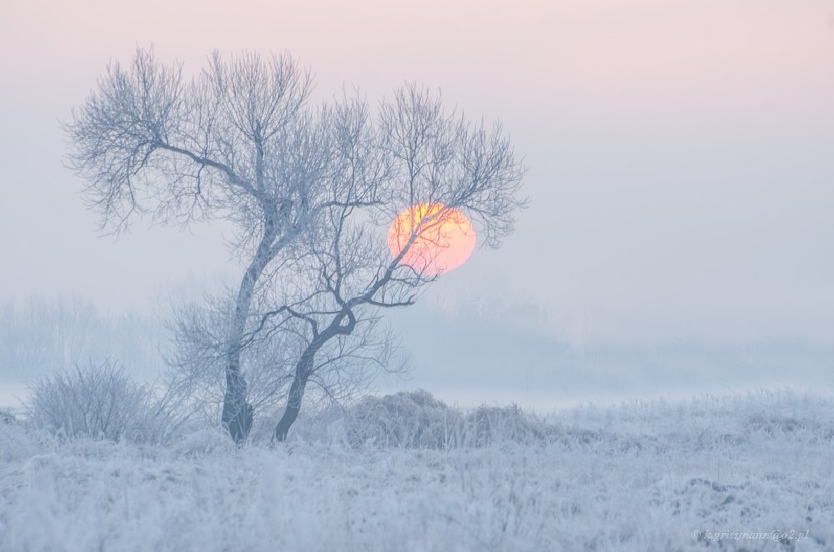 frozen ... by Katarzyna Gritzmann