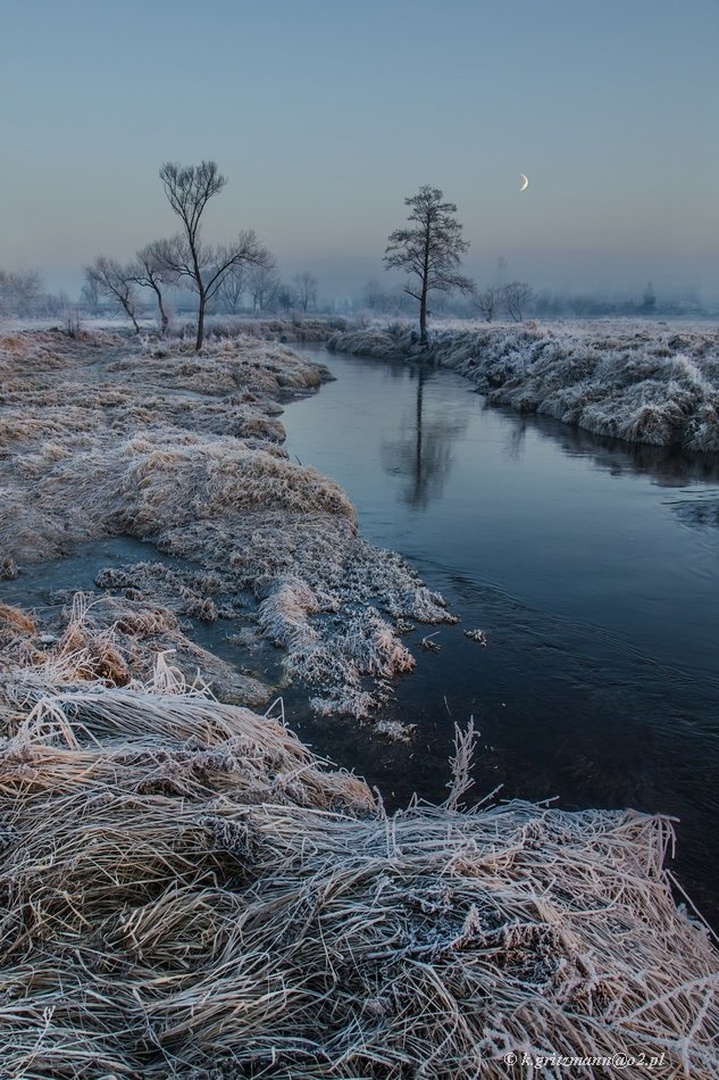frozen ... by Katarzyna Gritzmann