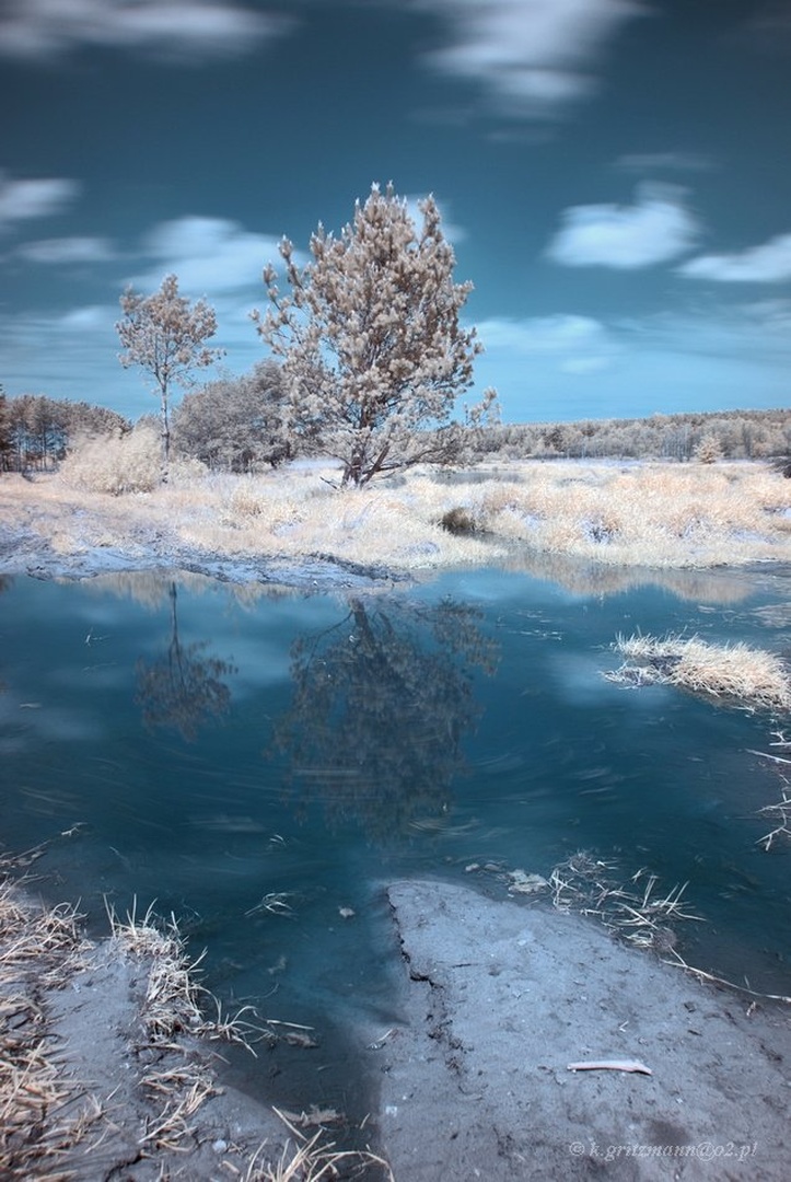 Infrared world by Katarzyna Gritzmann