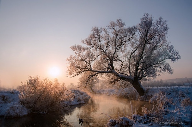 winter morning by Katarzyna Gritzmann