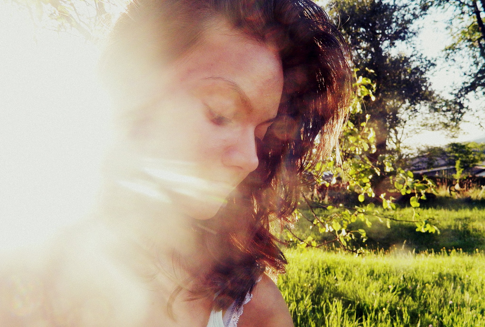 The element of sun by Bernarda Helbel