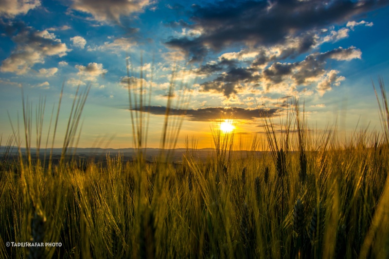 end of the day in tuskany by tadej škafar