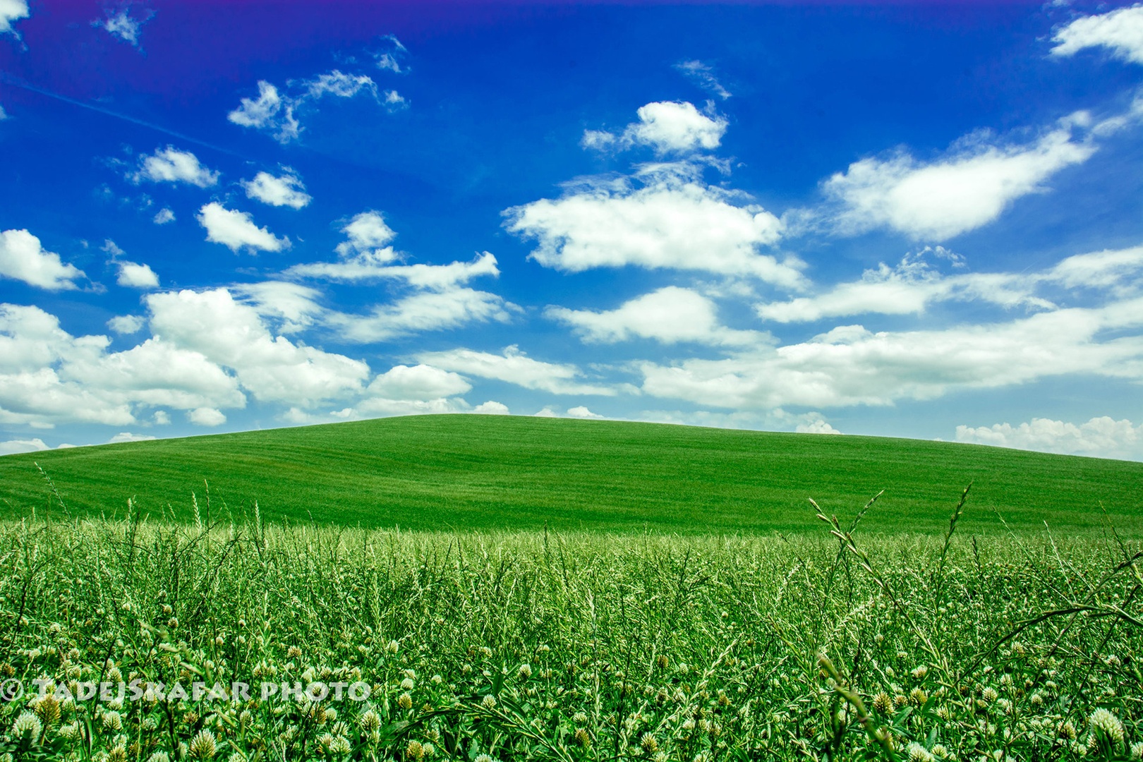 Wanna be Xp background by tadej škafar