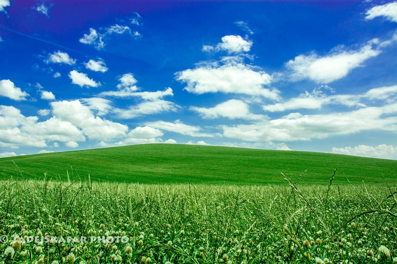 Wanna be Xp background by tadej škafar