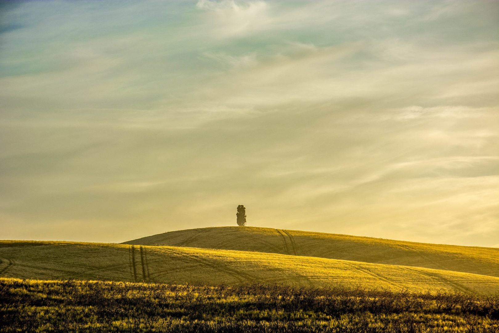 Lonely tree by tadej škafar