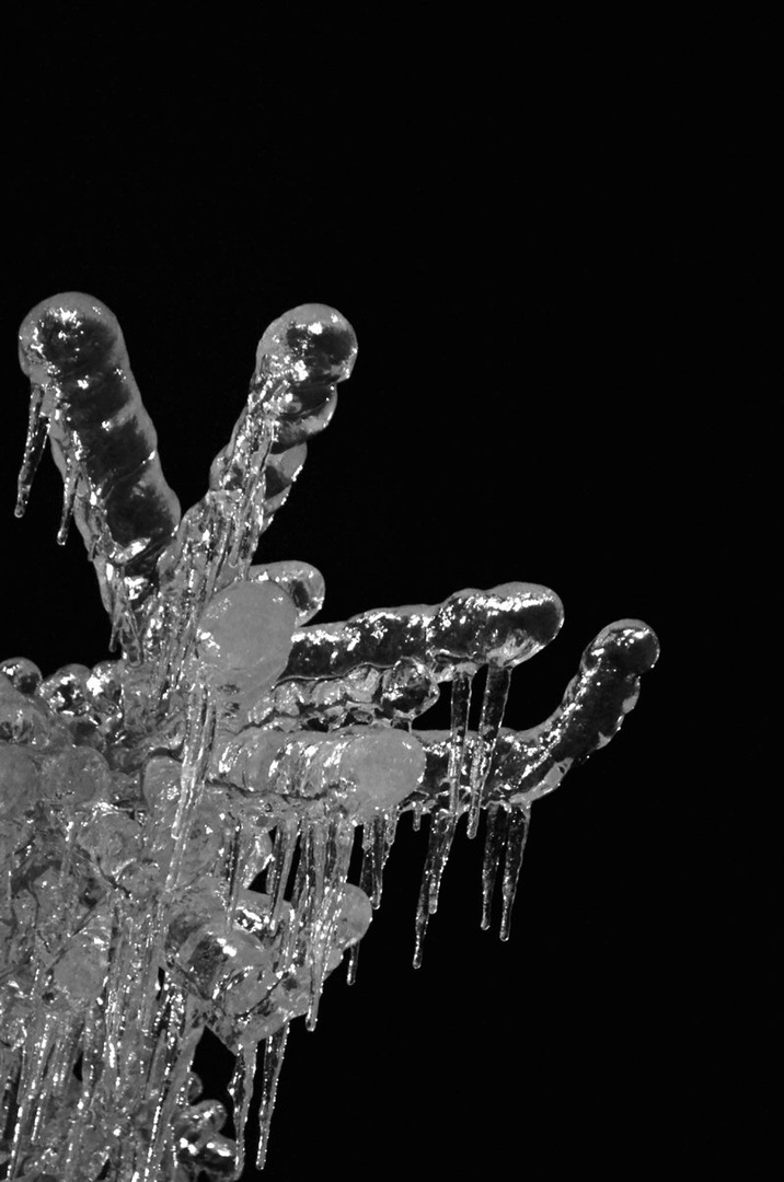 Honesty is like an icicle by Petra Longin