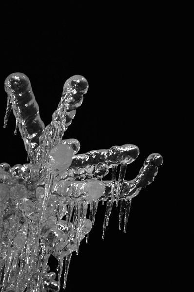 Honesty is like an icicle by Petra Longin