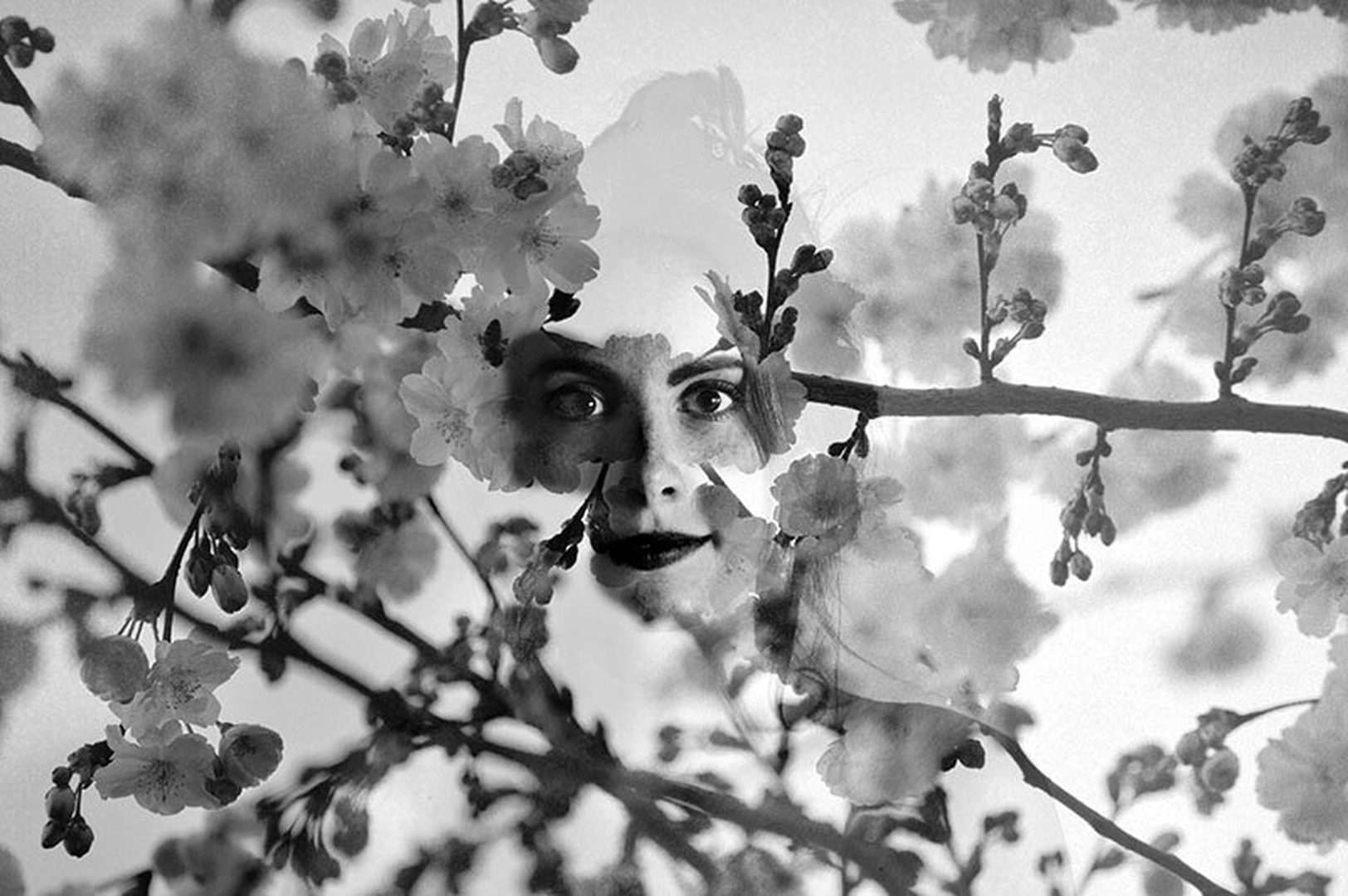 Poor, dear, silly Spring by Petra Longin