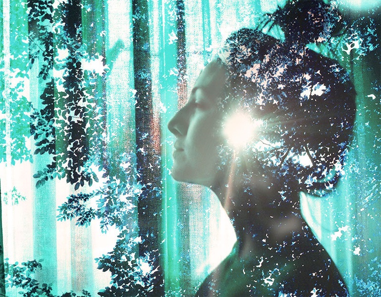 The woods are lovely, dark and deep by Petra Longin