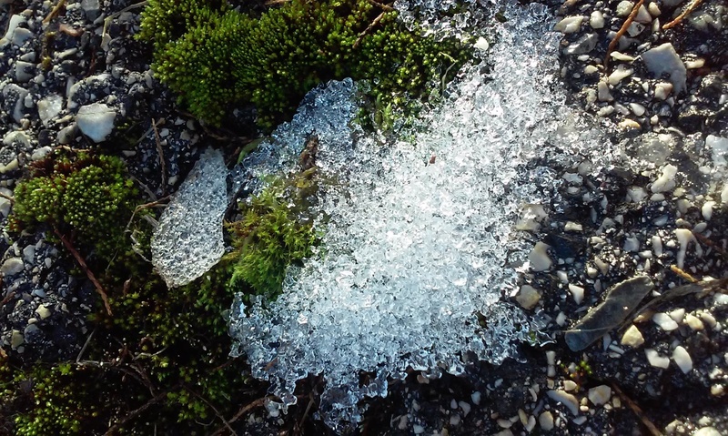 . by Nina Kocjan
