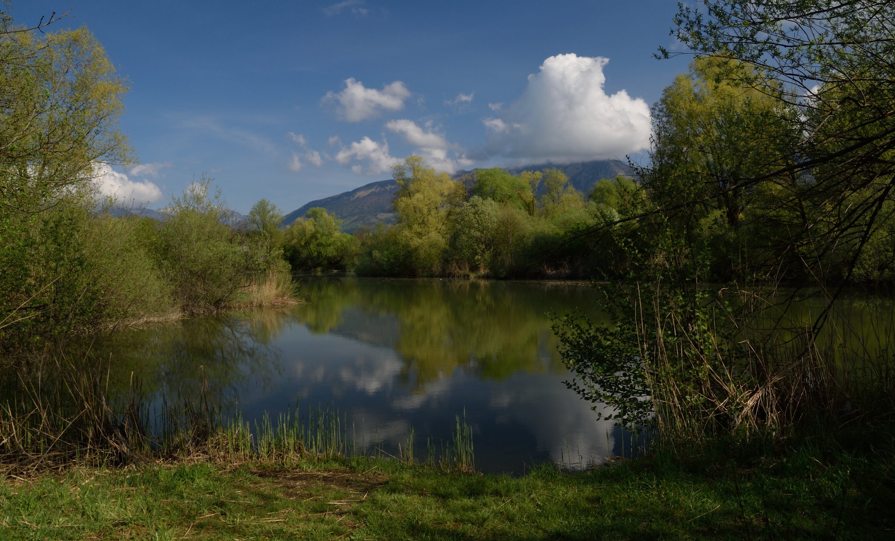 Žabji raj. by Boris Novković