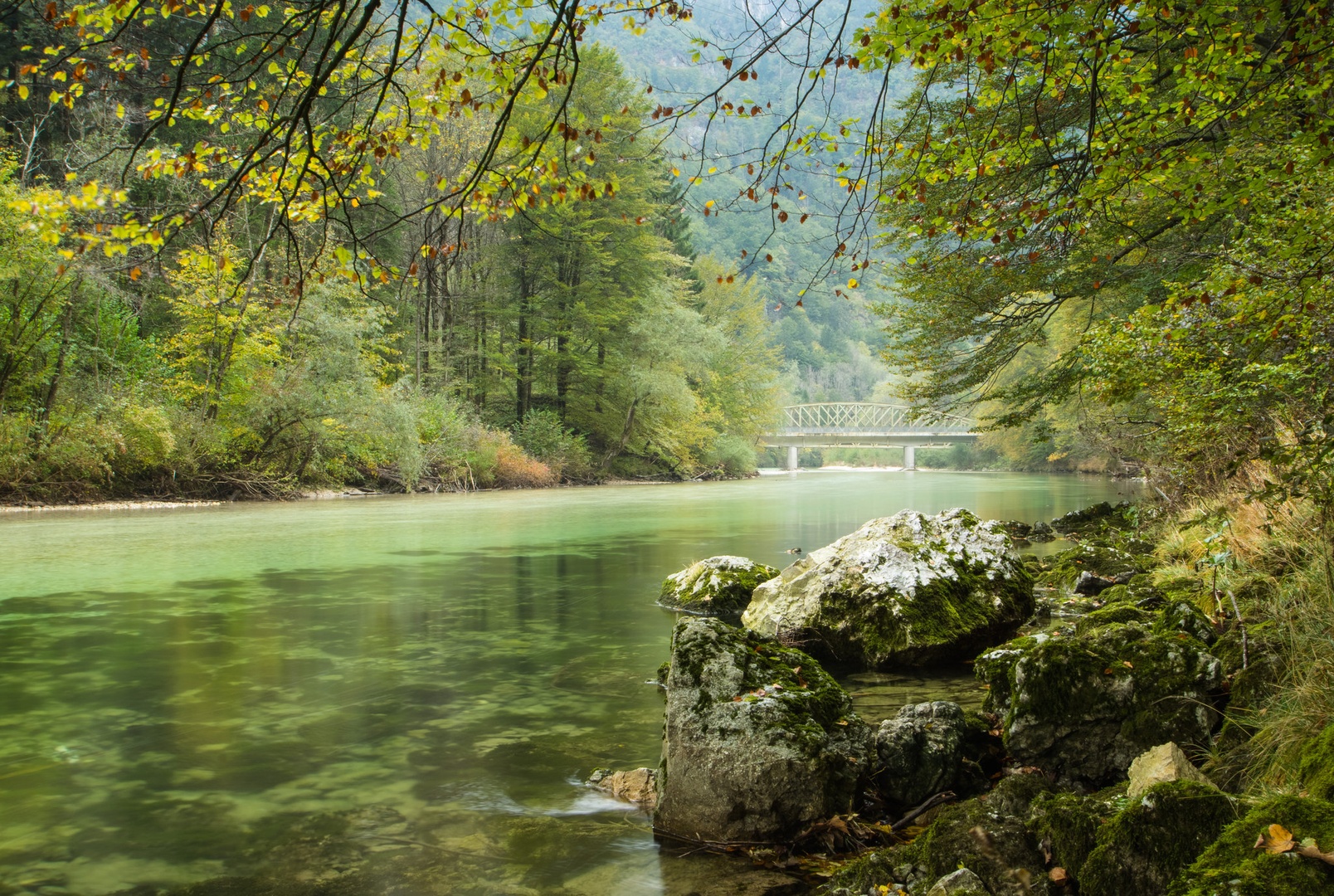 Sava Bohinjka by Boris Novković