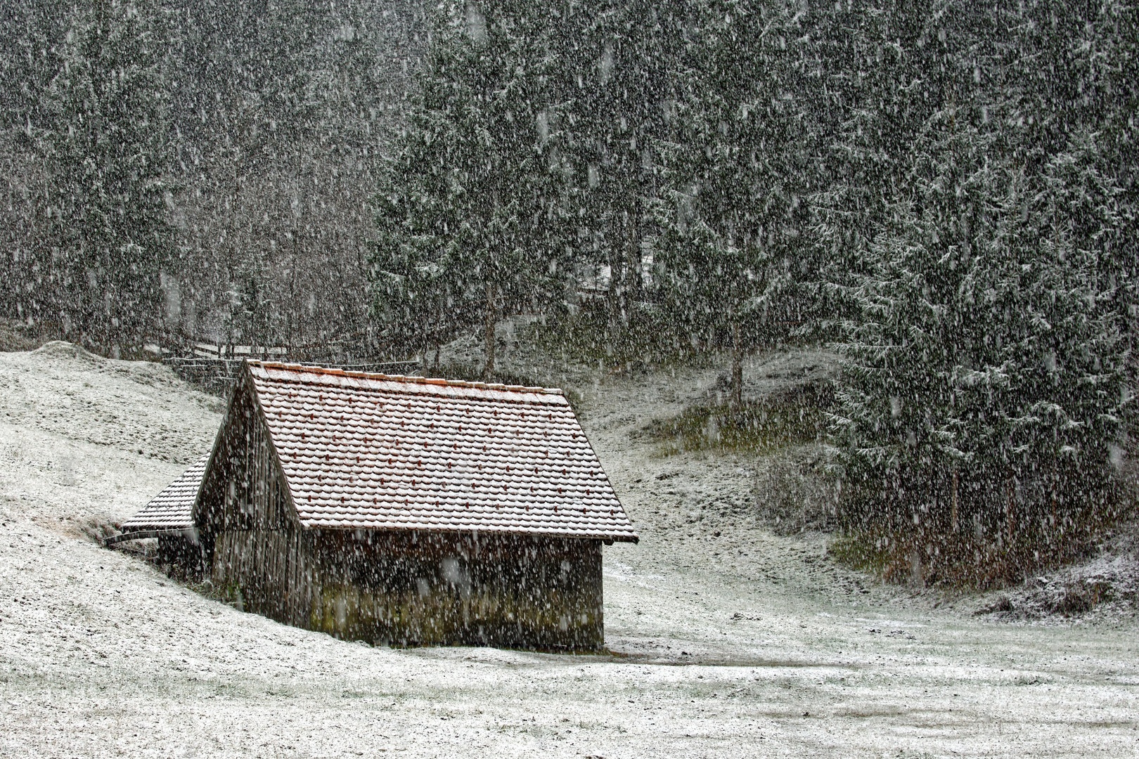 Sneženje. by Boris Novković