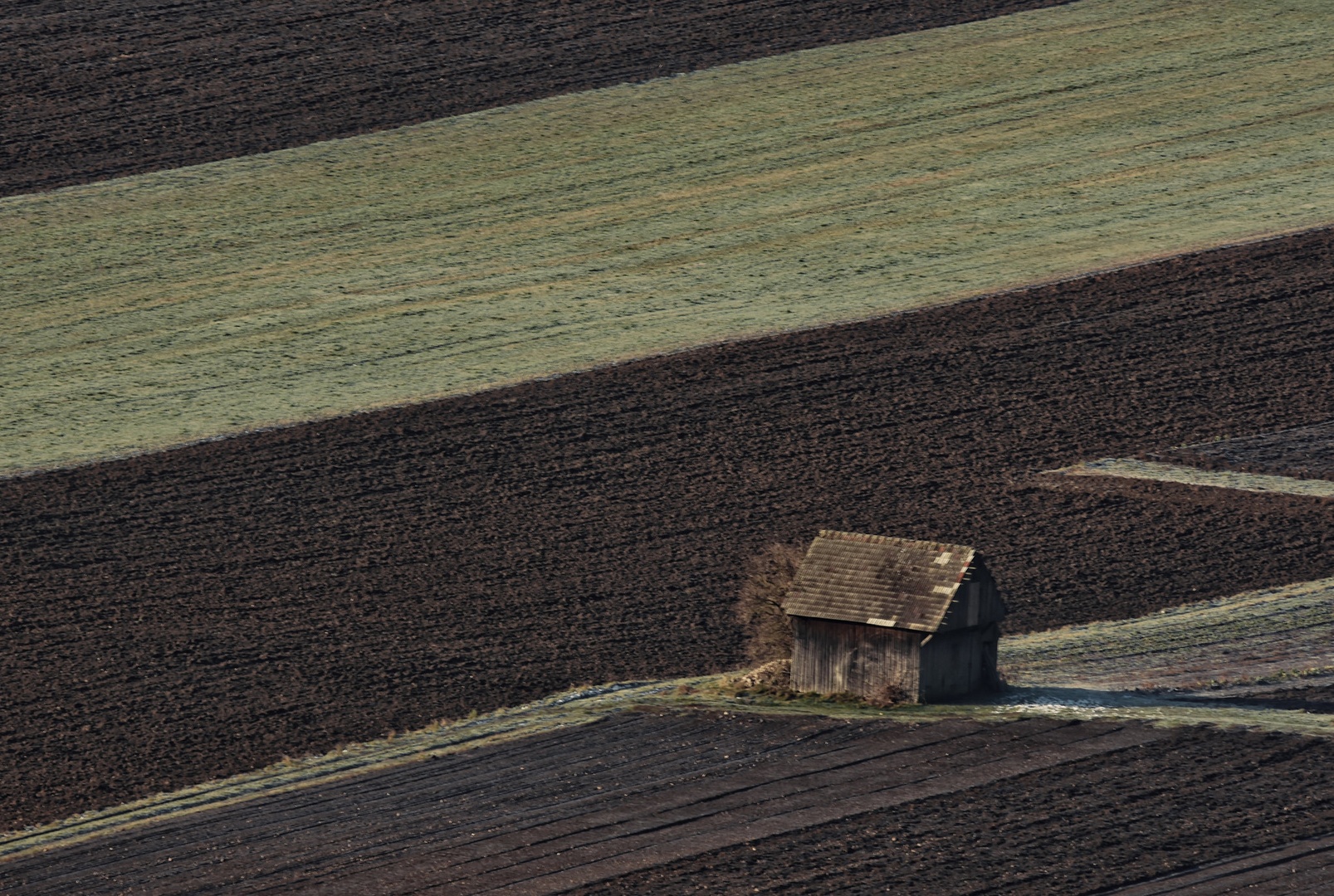 Kriško polje. by Boris Novković