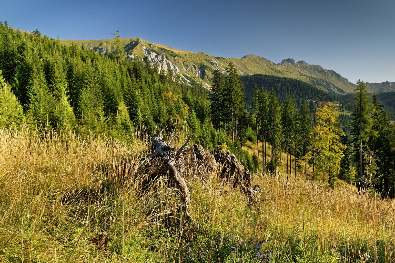Ob poti .... .. by Boris Novković