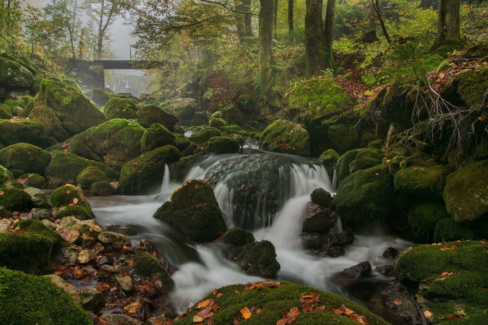 Kroparica ...... .. .... by Boris Novković