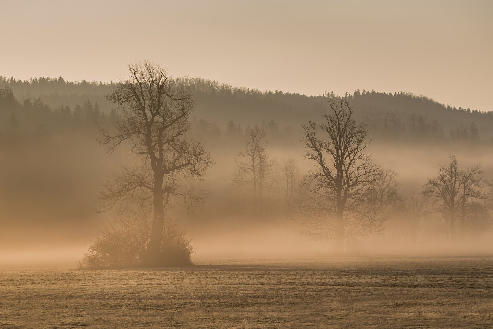 Jutro na polju. by Boris Novković