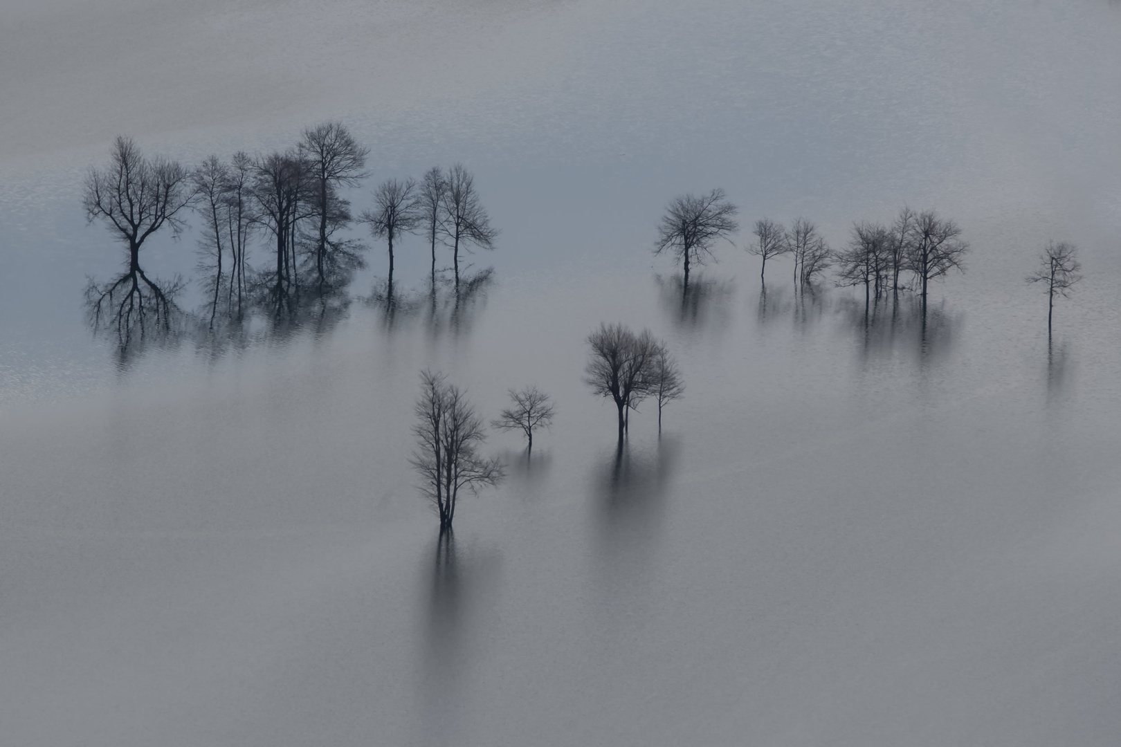 Planinsko polje. by Boris Novković