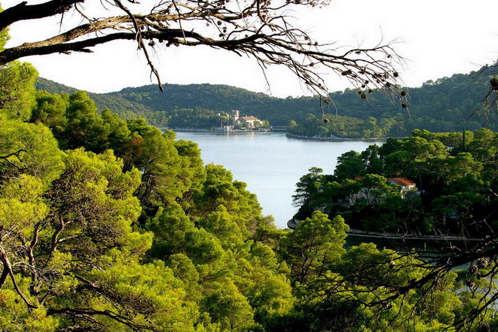 Mljet by