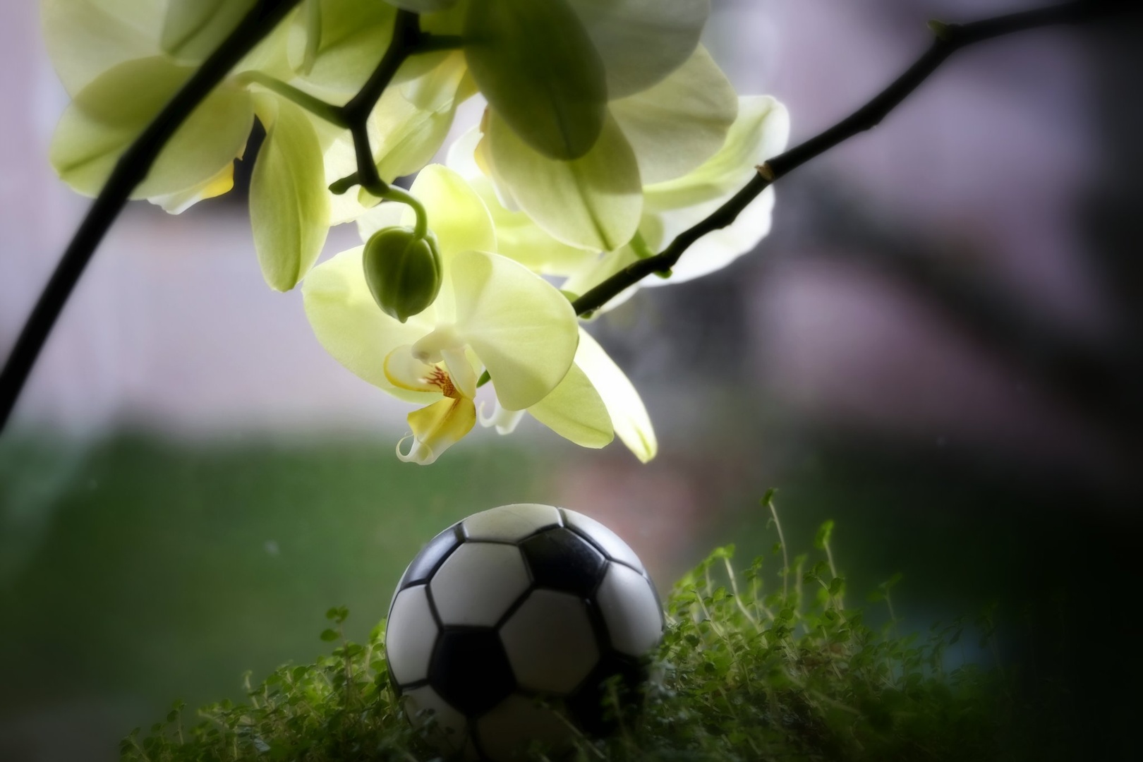 Miniature Soccer Ball by Jacob