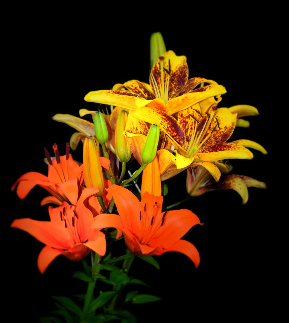 flowers from mother's garden for an Angel by Jacob