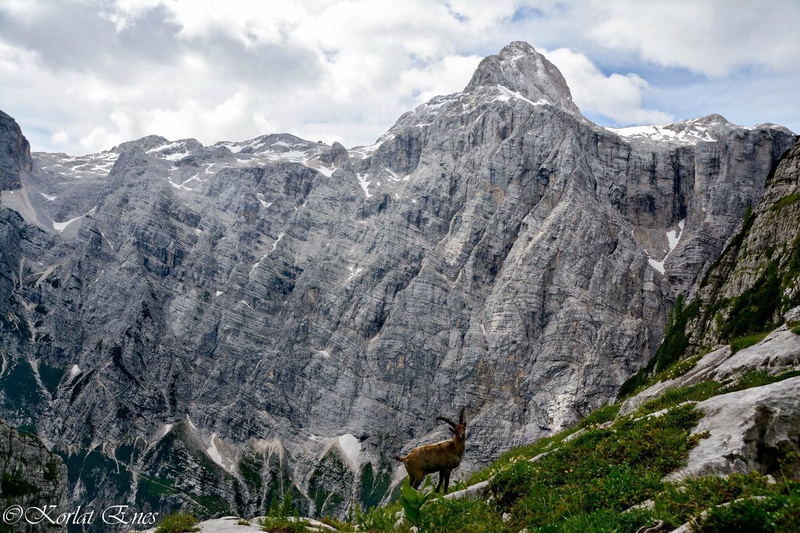 Triglav by Enes Korlat