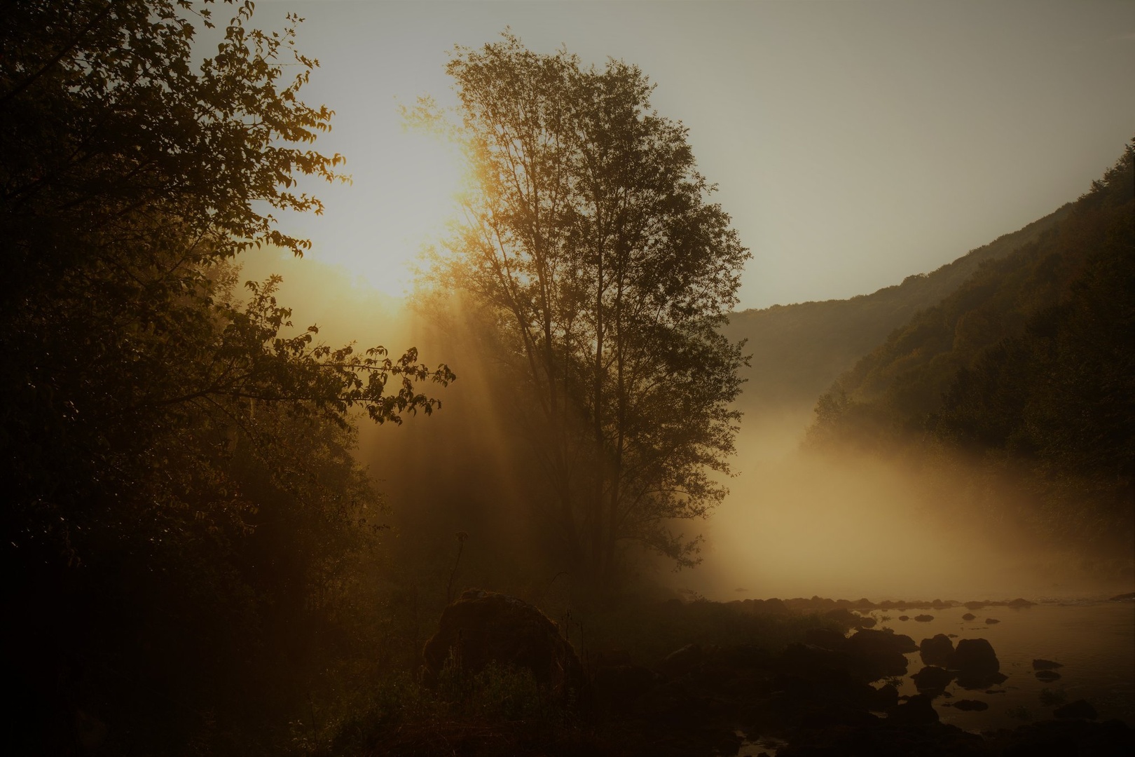 Dobro jutro by Enes Korlat