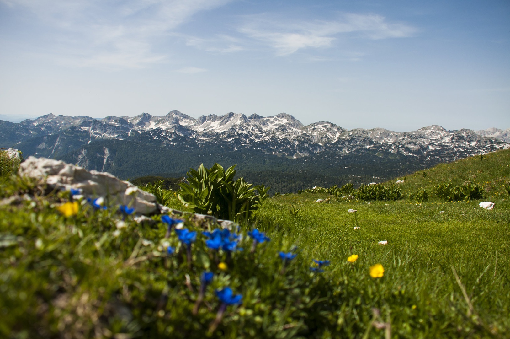 Spodnje Bohinjske gore by Ožbe Marolt