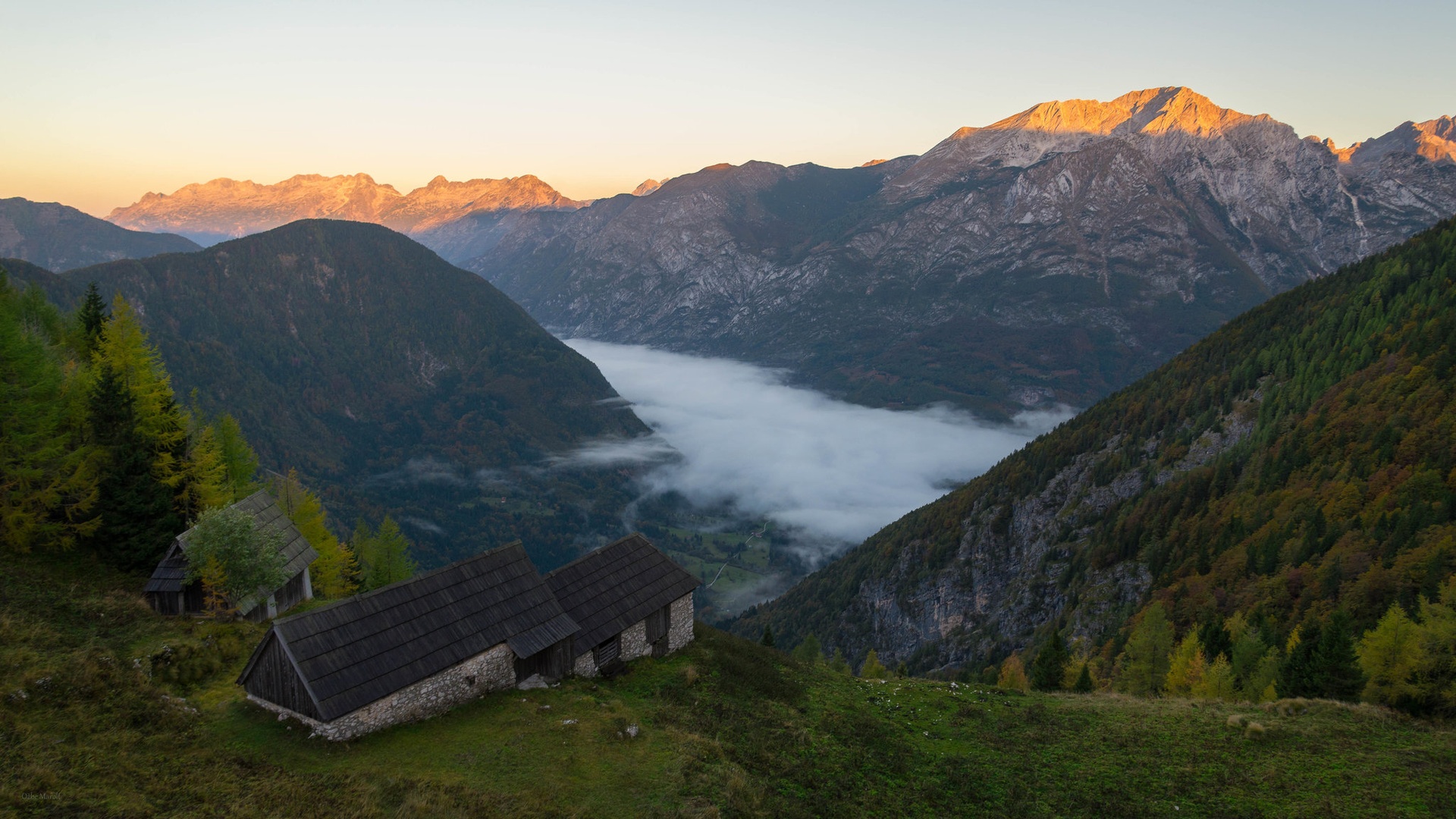 Jutro na planini by Ožbe Marolt