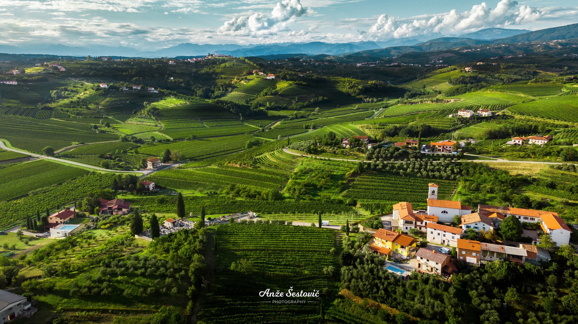 Goriška Brda by Anže Šestovič