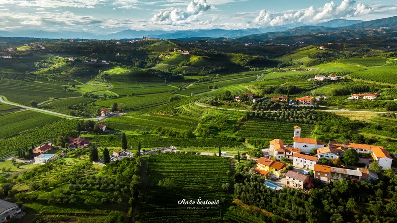 Goriška Brda by Anže Šestovič
