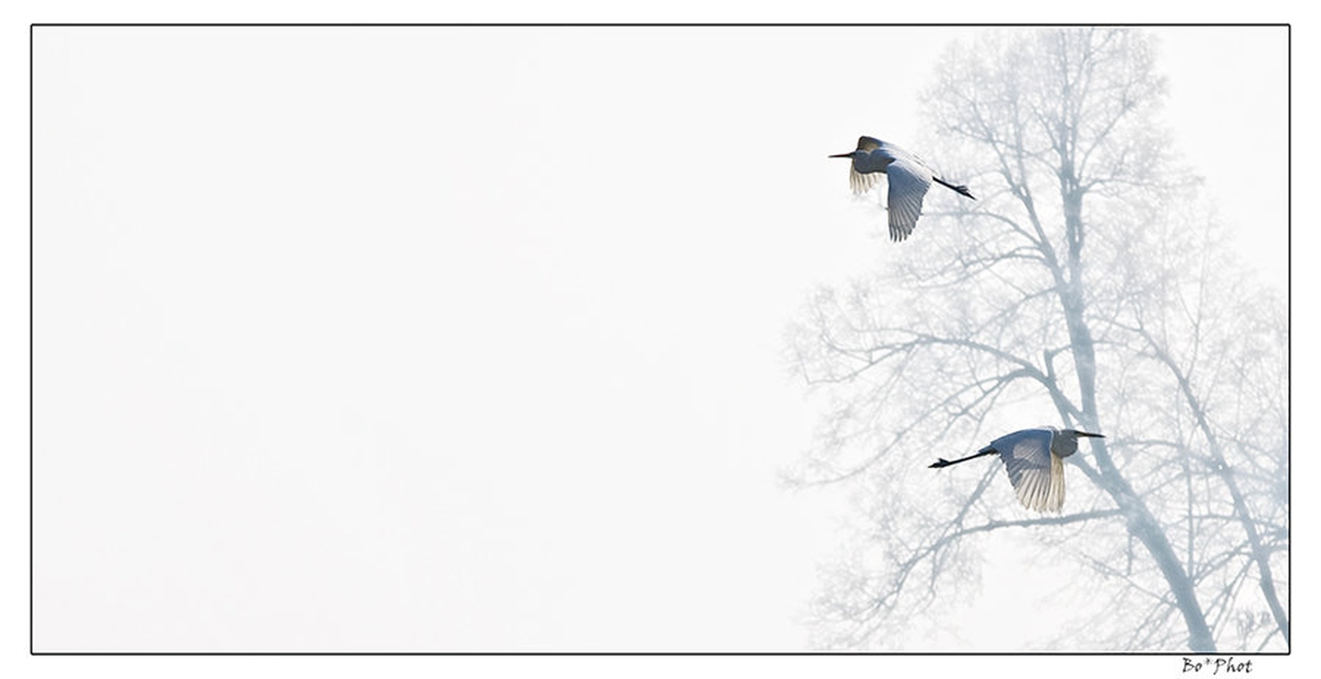 Duet... by