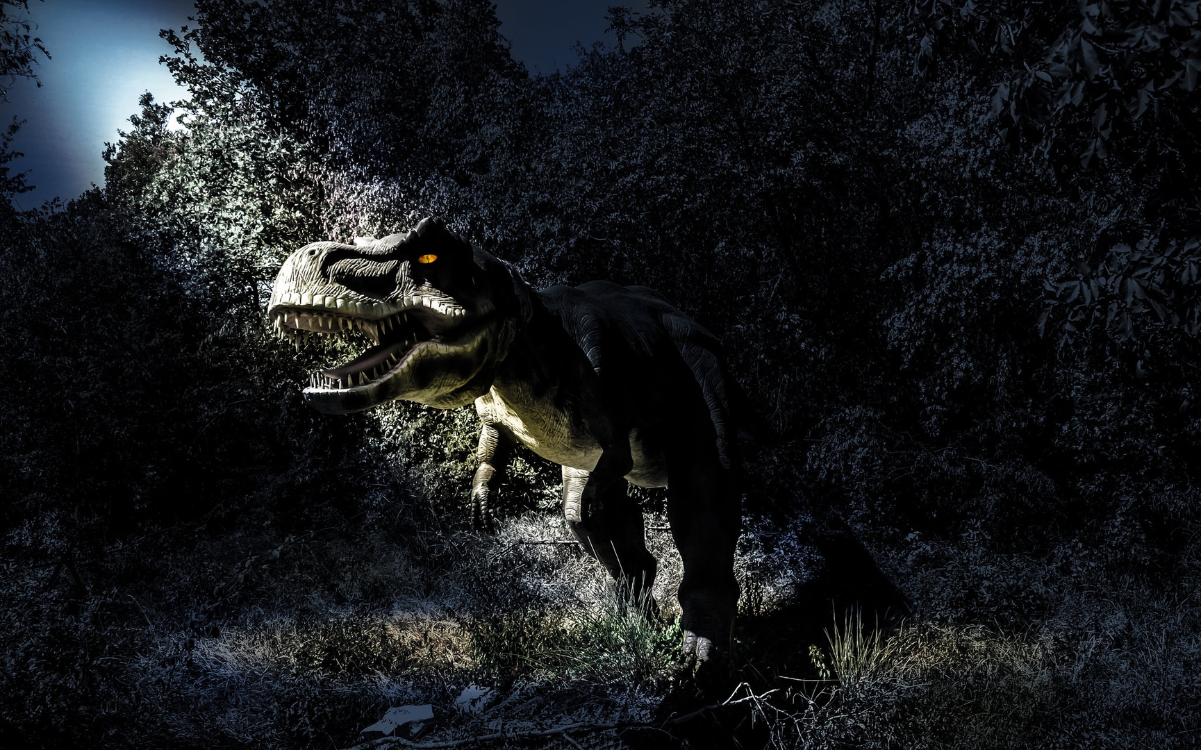 T-REX ... by Damijan Ožvatič