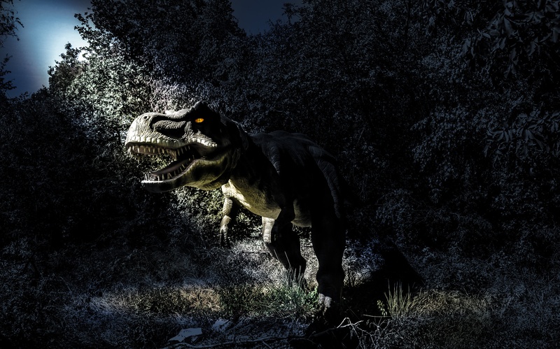 T-REX ... by Damijan Ožvatič